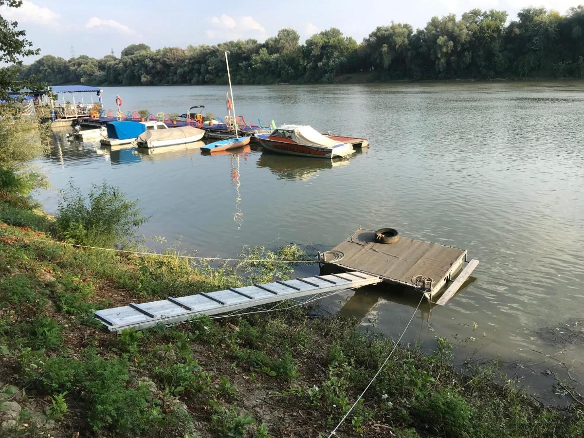 Tisza-beach wild camping 5 Szeged Kültér fotó