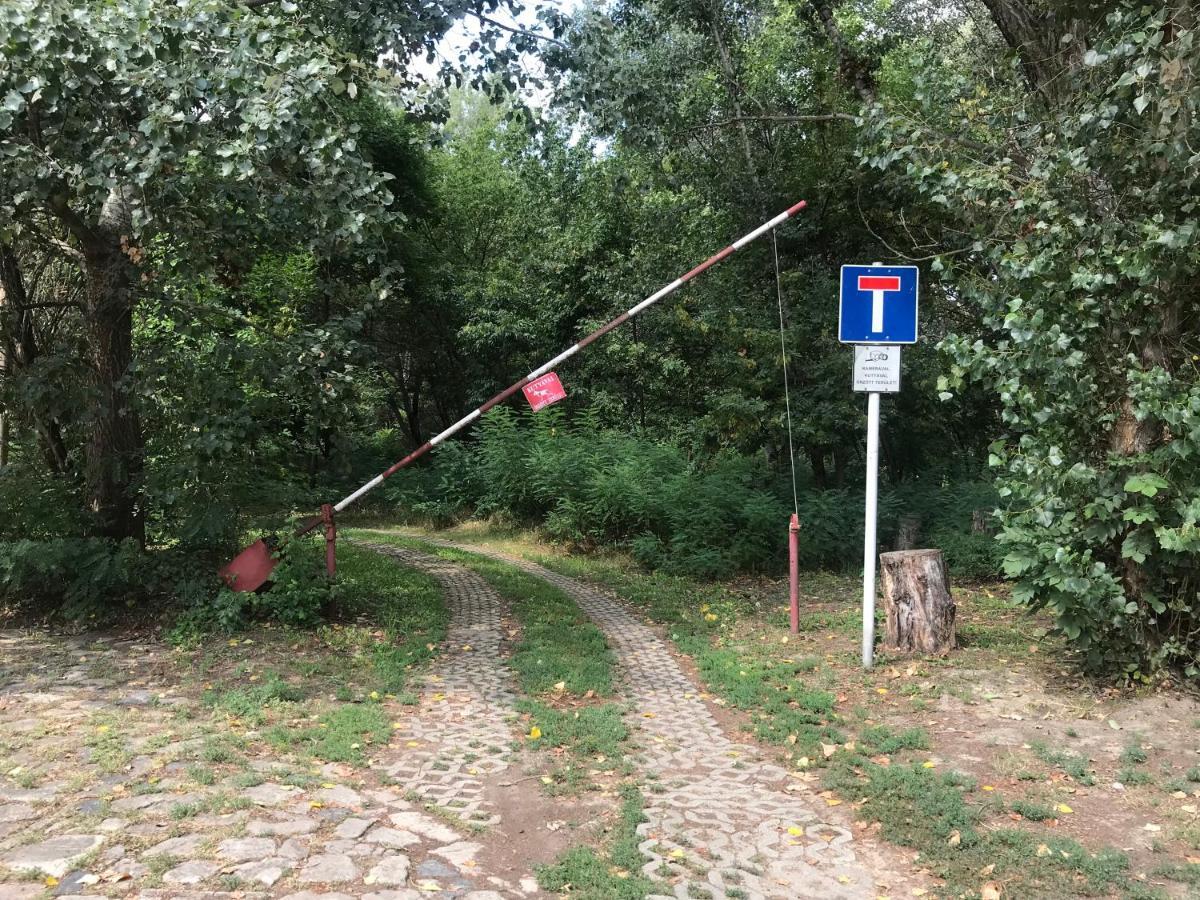 Tisza-beach wild camping 5 Szeged Kültér fotó