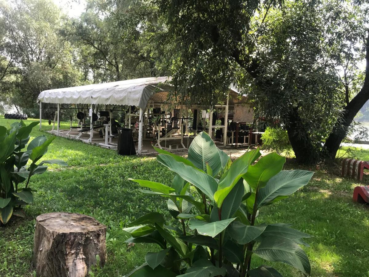 Tisza-beach wild camping 5 Szeged Kültér fotó
